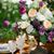 Janet Dahlquist's profile image