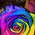 Jill Hanson's profile image