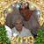 Donna Santini's profile image