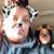 Tiffany Sharae Barrino's profile image