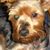 Fran Pearsall's profile image