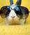 K. B.'s profile image