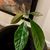 Rojas Felipe De Jesus's profile image
