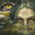 Sherry Carmichael's profile image