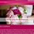 California Professional Style Florist Inc.'s profile image