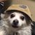Joseph Willams's profile image