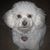 Sandra Carver's profile image