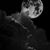 Dina Esam's profile image