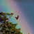 Nancy D. Glazier's profile image