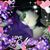 Nancy Paulsen's profile image