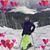 Judy Hunstock Williams's profile image