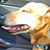 Lipmon Lipmon's profile image