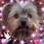 Vicki Thrasher's profile image