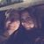Brenda Lowther's profile image