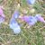 Bethanne Teal's profile image