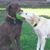 Todd Somers's profile image