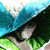Debbie Hargrave's profile image