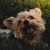 Valerie Mattingly's profile image