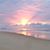 Bonnie Sumerlin Clark's profile image