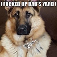 Paul Riccardi's profile image