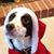 Lisa Dannemiller-Edgehouse's profile image