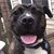 Rhonda M Norton's profile image