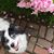 Brooke Ballenger's profile image