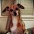 Brandiy Moena's profile image