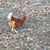 Reta Painter-Boyer's profile image