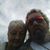 Dave Martin's profile image