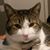 Sharon Simmons's profile image