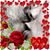Rolon Maria's profile image
