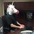Aaron Dorval's profile image