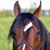 Jody Mock Sherwood's profile image