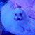 Blaire Bennett's profile image