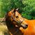 Jeretta Wziatek's profile image