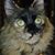 Gloria Long's profile image