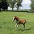 Wendy Traeger's profile image