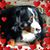 Sherry Seidenberger's profile image