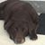 Barb Beres's profile image