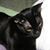 Carol H.'s profile image