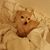 Vickie Schultz's profile image