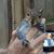 Donna Freeman's profile image