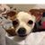 Tiffaney Ellifritz's profile image