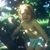 Brenda Carr's profile image