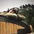 Vicki Wolf's profile image