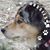 Jennifer Myron-Brown's profile image