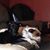 Debbie Varone's profile image