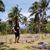 DiLinn Marabiles Sterner's profile image