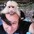 Robert Cort's profile image